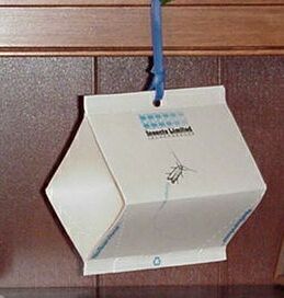 tobacco beetle control Pesticide-free pheromone traps for beetles and moths Cigarette Beetle Control & Treatment